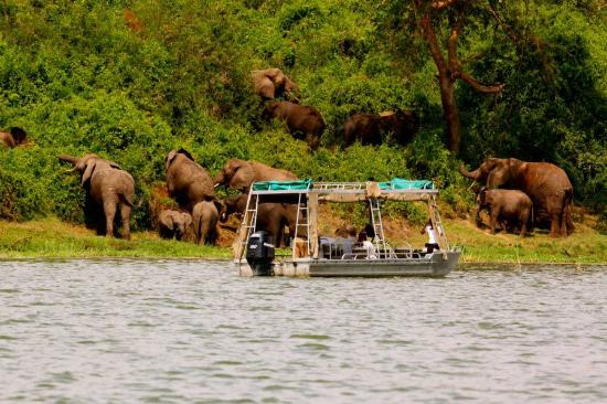 Kazinga Channel Boat Safari