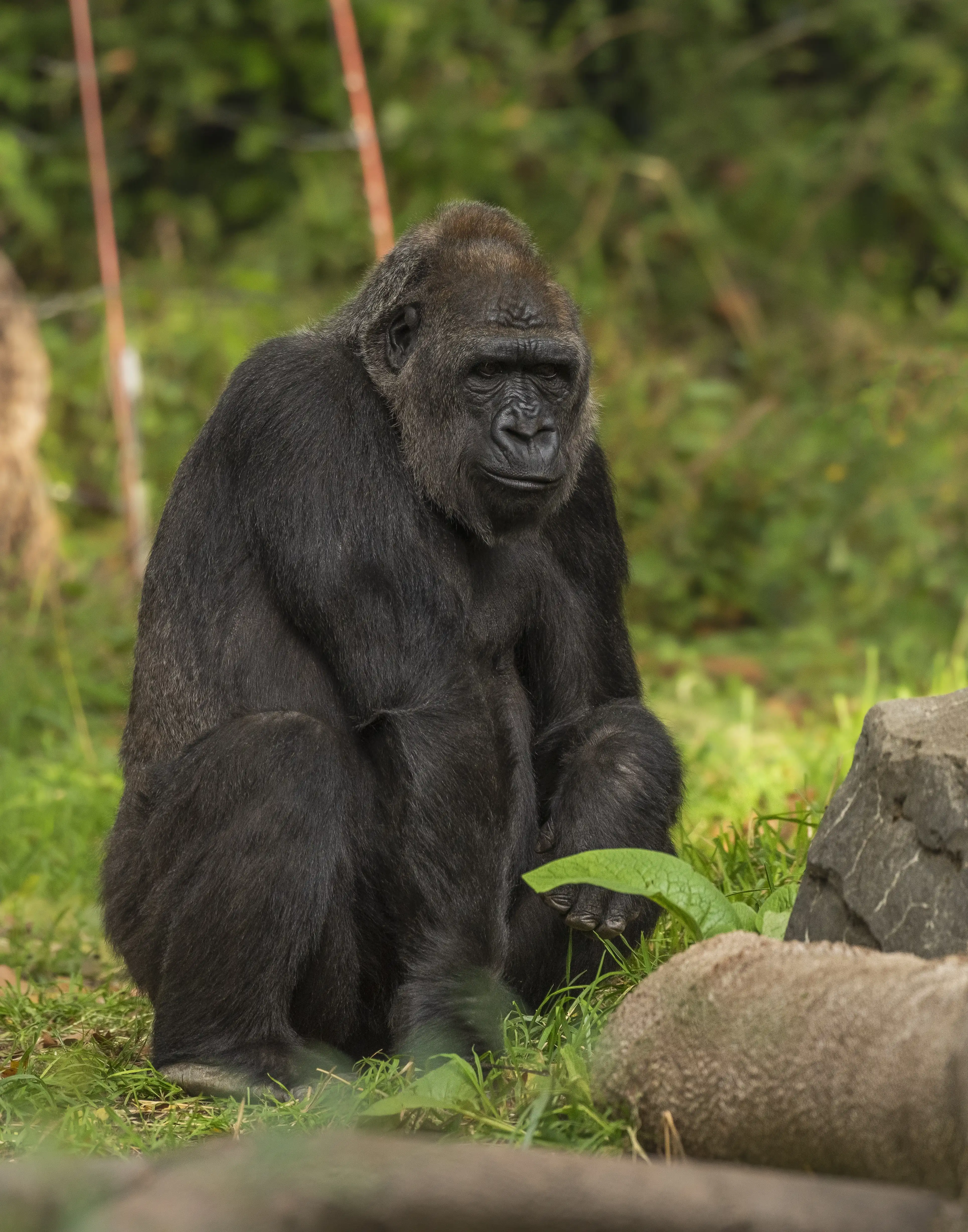 10 Unique Experiences You Can Only Have in Uganda